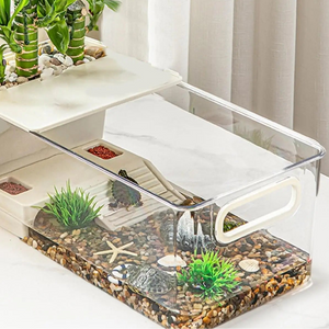 Terrarium Tortue avec Zone de Lézardage