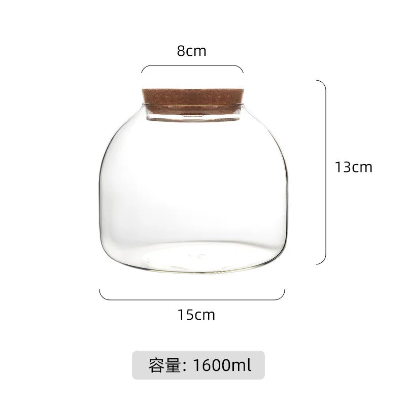 Terrarium Plante en Vase Borosilicate