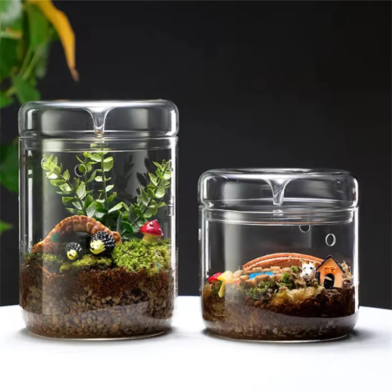 Terrarium Plante en Verre avec Couvercle Anti-Condensation