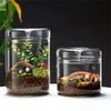 Terrarium Plante en Verre avec Couvercle Anti-Condensation