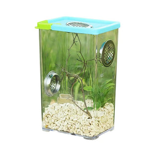 Boîte d'Élevage Reptiles Acrylique – Terrarium Ventilé