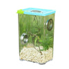 Boîte d'Élevage Reptiles Acrylique – Terrarium Ventilé