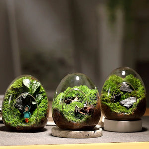 Terrarium Plante Verre Borosilicate Transparent - VIVARIUM PRO