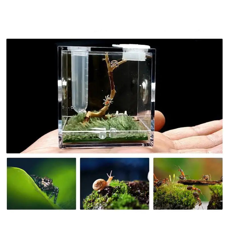 Kit Complet Boîte d'Élevage Reptiles Acrylique