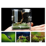 Kit Complet Boîte d'Élevage Reptiles Acrylique