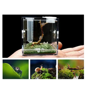 Kit Complet Boîte d'Élevage Reptiles Acrylique