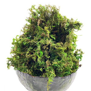 Mousse Artificielle Rotin Terrarium et Aménagement Paysager