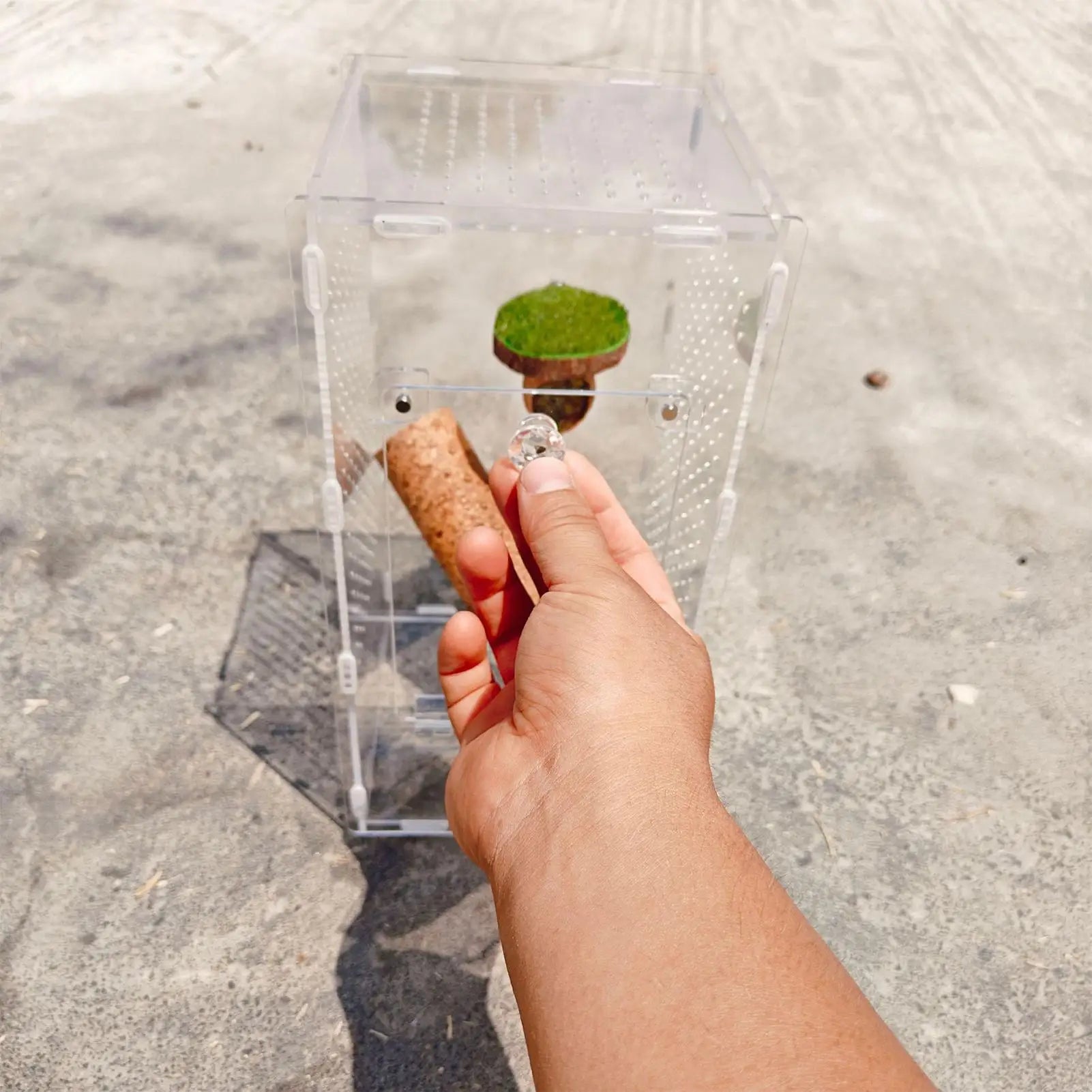 Terrarium Acrylique 360 Degrés