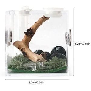 Kit Complet Boîte d'Élevage Reptiles Acrylique