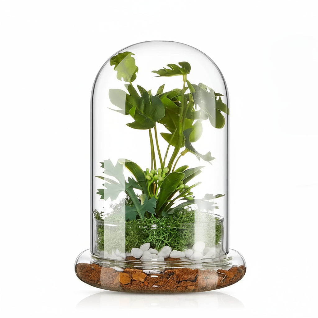 Terrarium Plante Cloche en Verre avec  Base