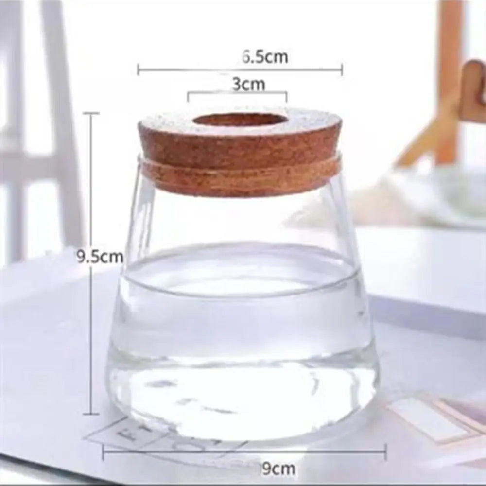 Pot de Fleurs Pour Terrariums