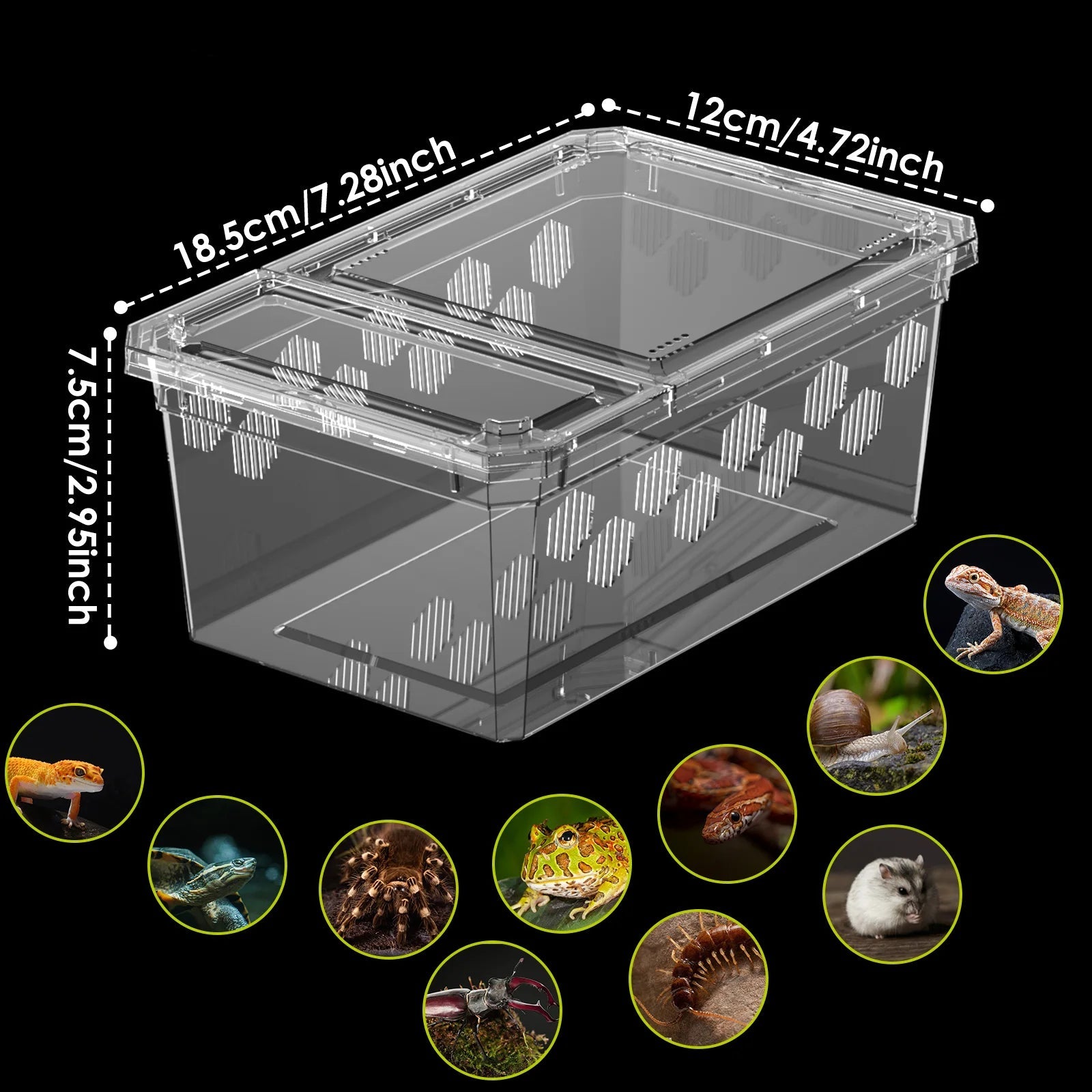 Terrarium Déplacement – Boîte Élevage Empilable Reptiles