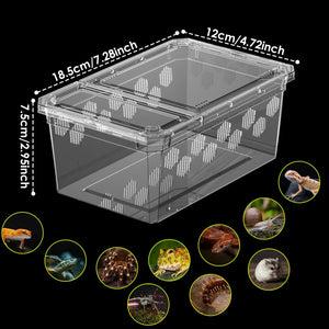 Terrarium Déplacement – Boîte Élevage Empilable Reptiles
