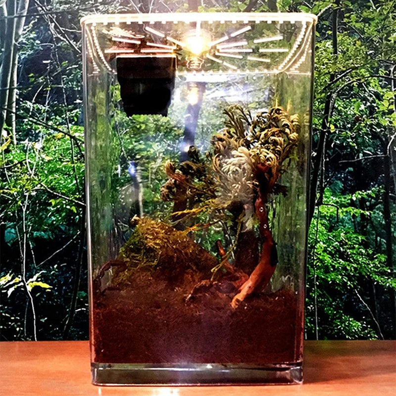 Terrarium Acrylique Ultra-Transparent pour Reptiles et Invertébrés
