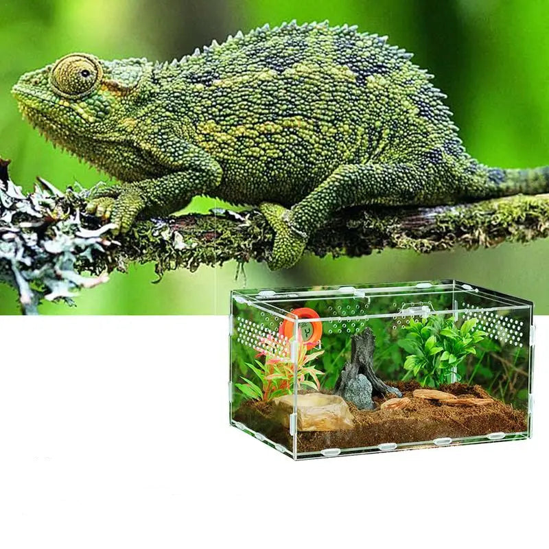 Terrarium Acrylique Transparent pour Reptiles