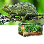 Terrarium Acrylique Transparent pour Reptiles