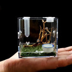 Kit Complet Boîte d'Élevage Reptiles Acrylique