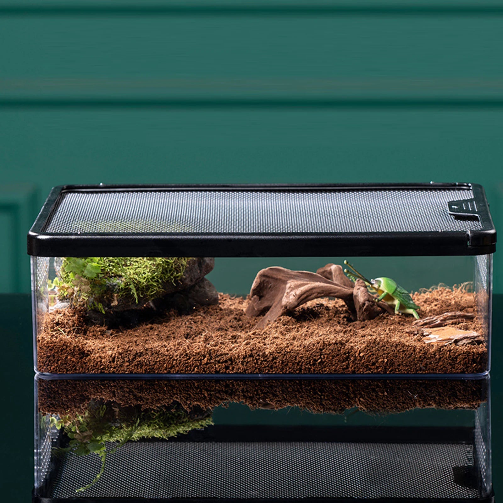 Boîte d'Élevage Reptiles PC Robuste – Terrarium Transparent