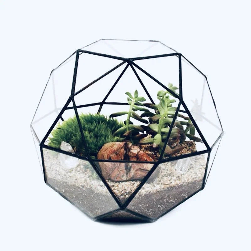 Terrarium Plante Géométrique en Verre Design Moderne