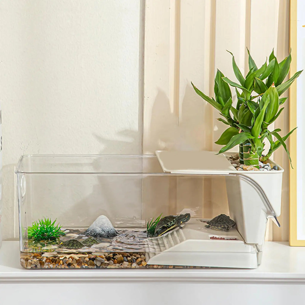 Terrarium Tortue avec Zone de Lézardage