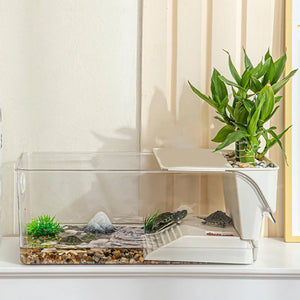 Terrarium Tortue avec Zone de Lézardage