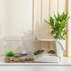 Terrarium Tortue avec Zone de Lézardage
