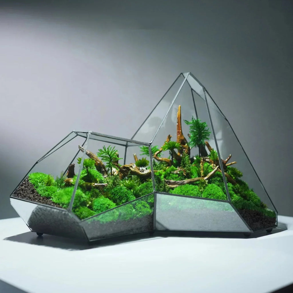 Terrarium Plante Microscopique Verre Métal Soudé Main - VIVARIUM PRO