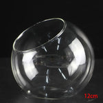 Vase Boules de Verre Borosilicate – Terrarium Moderne Bouche Ouverte - VIVARIUM PRO