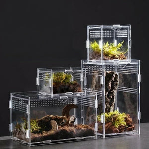 Terrarium Acrylique – Boîte d'Élevage Reptiles Transparent