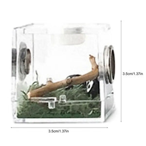 Kit Complet Boîte d'Élevage Reptiles Acrylique