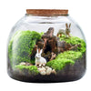Terrarium Plante en Vase Borosilicate