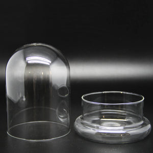 Terrarium Plante Dôme Verre Borosilicate Artisanal Européen