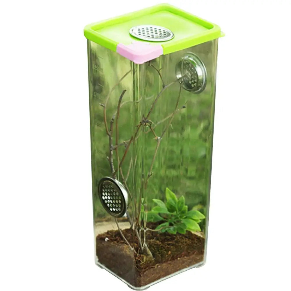 Boîte d'Élevage Reptiles Acrylique – Terrarium Ventilé