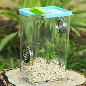 Boîte d'Élevage Reptiles Acrylique – Terrarium Ventilé