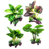 Plante Artificielle Terrarium