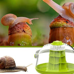 Maison d'Élevage pour Escargots et Reptiles – Boîte d'Alimentation ABS/PC Transparent avec Poignée