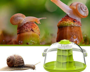 Maison d'Élevage pour Escargots et Reptiles – Boîte d'Alimentation ABS/PC Transparent avec Poignée