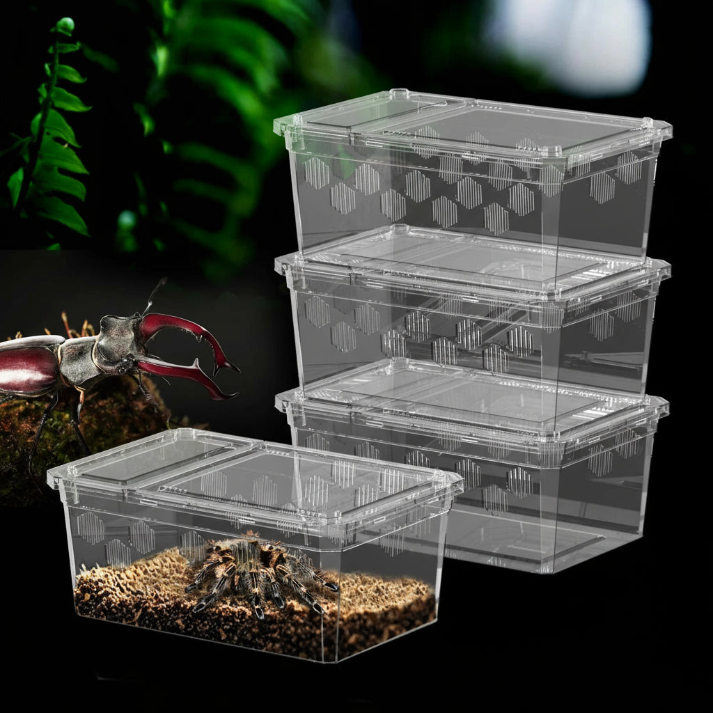 Terrarium Déplacement – Boîte Élevage Empilable Reptiles