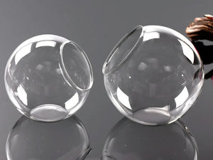 Terrarium Plante - Boules de Verre Borosilicate Transparent