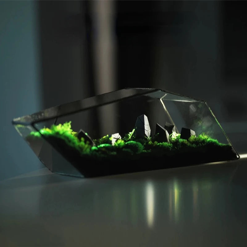Terrarium Plante Microscopique Verre Métal Design Moderne - VIVARIUM PRO