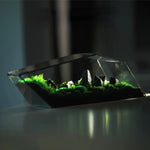 Terrarium Plante Microscopique Verre Métal Design Moderne - VIVARIUM PRO