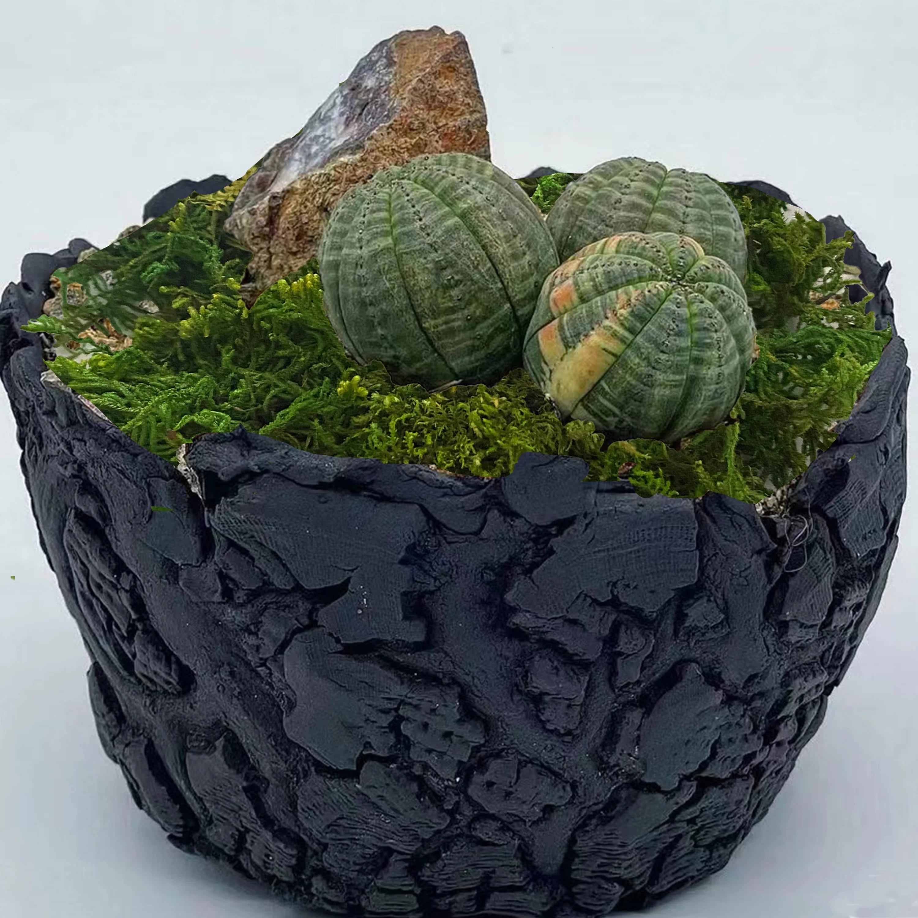 Mousse Artificielle Rotin Terrarium et Aménagement Paysager