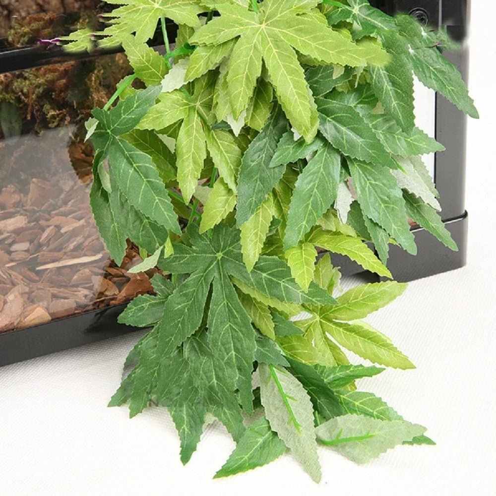 Plante Terrarium Vigne Suspendue Résine