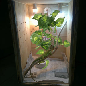 Plante Artificielle Sécuritaire pour Terrarium Reptiles et Aquarium