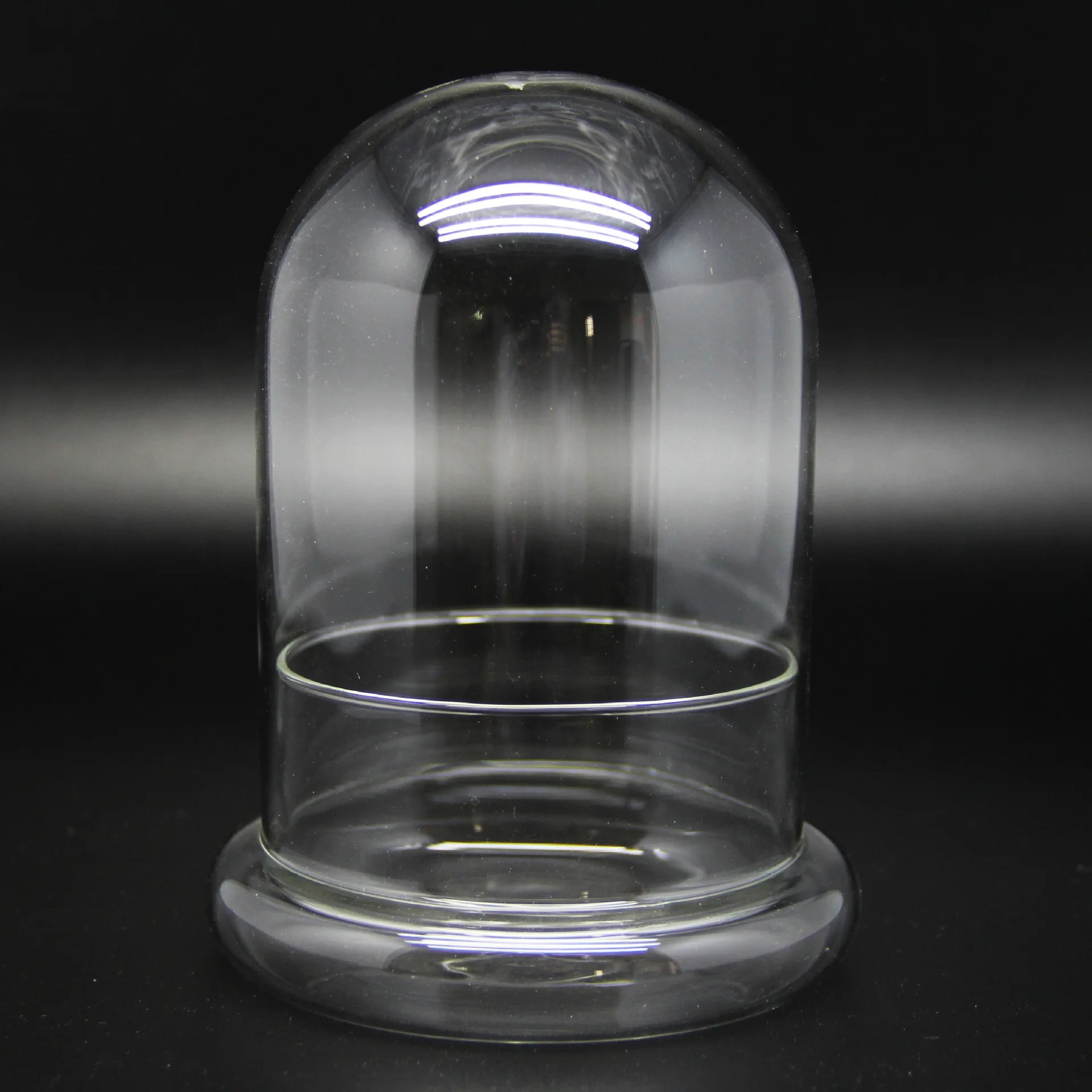 Terrarium Plante Dôme en Verre Borosilicate Fait Main