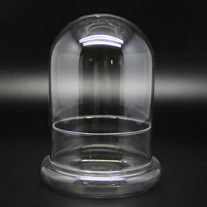 Terrarium Plante Dôme en Verre Borosilicate Fait Main