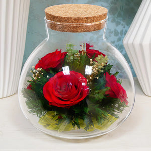 Terrarium Plante DIY en Verre avec Bouchon Liège