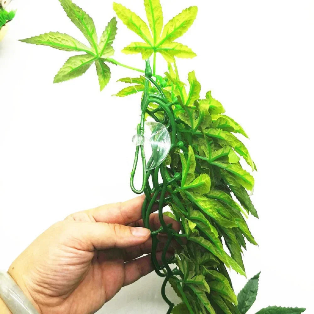 Plante Terrarium Vigne Suspendue Résine