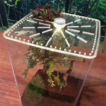 Terrarium Acrylique Ultra-Transparent pour Reptiles et Invertébrés