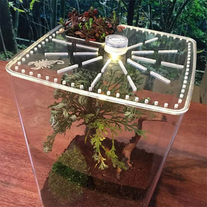 Terrarium Acrylique Ultra-Transparent pour Reptiles et Invertébrés